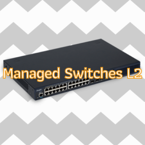 Managed Switches L2