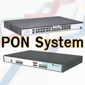 PON System